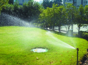 如何进行雨水收集利用，相关的技术措施了解吗？