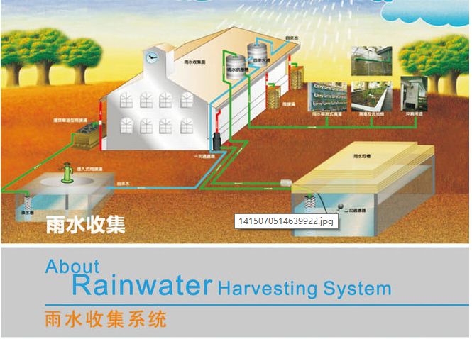 收集雨水的利用